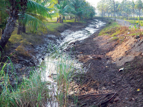 Of the 0.48 million hectares under paddy in East and West Godavari, 0.3 million hectares were destroyed by Nilam, drains