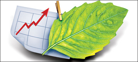 Illustration: Divya image