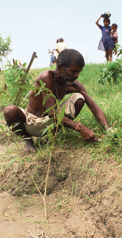 PHOTOGRAPHS: PRASHANT RAVI