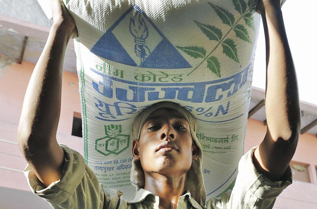 भारत ने पिछले 60 सालों में यूरिया का अत्यधिक इस्तेमाल किया है जिससे कृषि उत्पादकता में कई गुणा बढ़ोतरी हुई है (विकास चौधरी / सीएसई) भारत ने पिछले 60 सालों में यूरिया का अत्यधिक इस्तेमाल किया है जिससे कृषि उत्पादकता में कई गुणा बढ़ोतरी हुई है (विकास चौधरी / सीएसई)