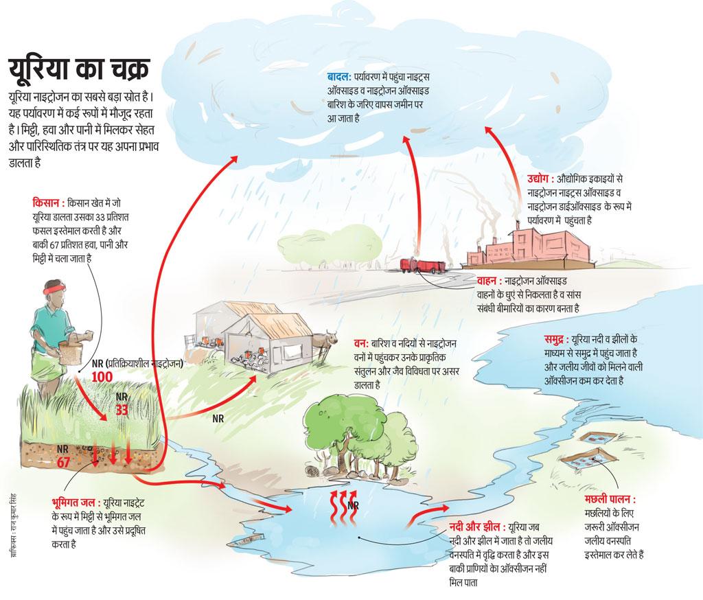 ग्राफिक्स : राज कुमार सिंह ग्राफिक्स : राज कुमार सिंह