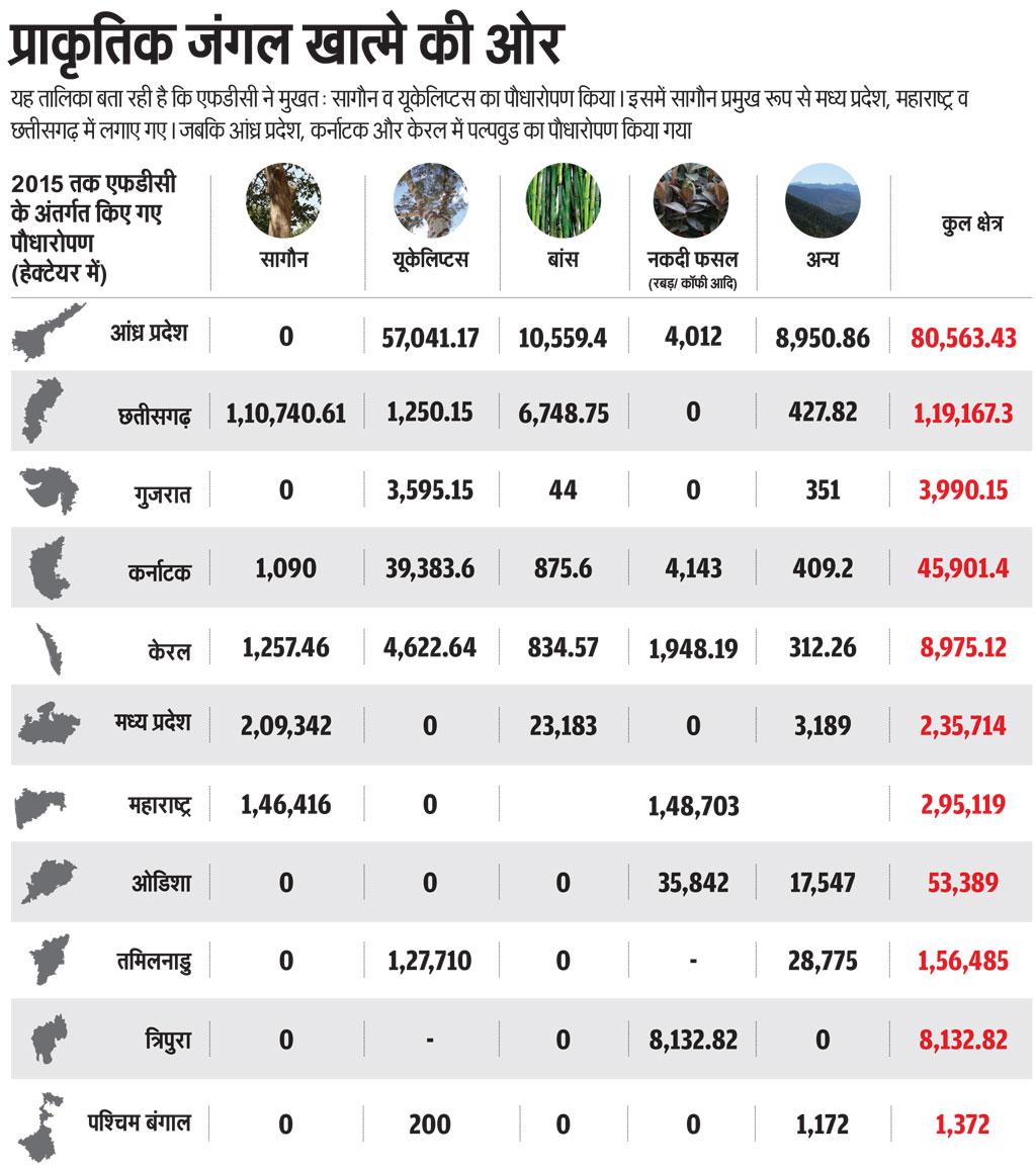 स्रोत: सीएसई की रिपोर्ट द पजल ऑफ फॉरेस्ट प्रॉडक्टिविटी स्रोत: सीएसई की रिपोर्ट द पजल ऑफ फॉरेस्ट प्रॉडक्टिविटी