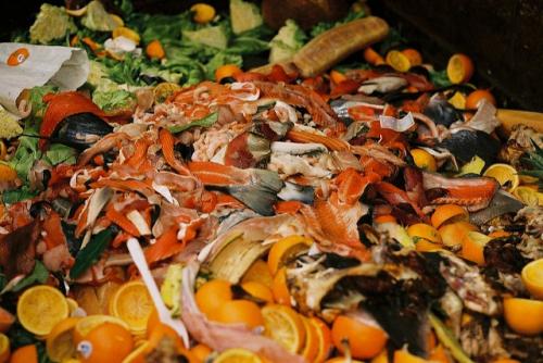 First-ever international standard can help countries measure food loss and waste First-ever international standard can help countries measure food loss and waste