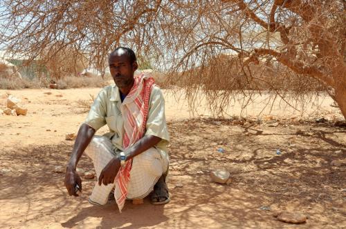 Drought, land degradation affect 1.5 billion people: UN report Drought, land degradation affect 1.5 billion people: UN report