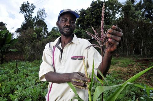 Climate change constitutes double-edged sword for Africa: ECA Climate change constitutes double-edged sword for Africa: ECA