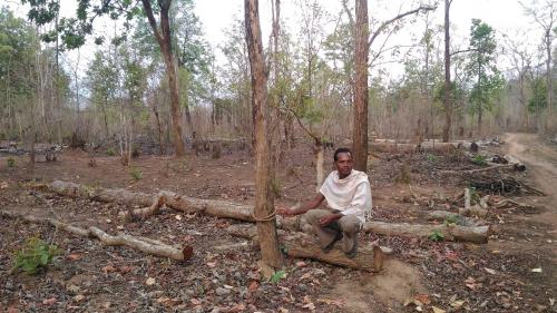 Rejection of forest rights claims, poor coverage and missing data; all happening in Odisha Rejection of forest rights claims, poor coverage and missing data; all happening in Odisha