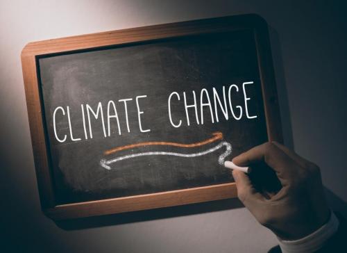 Bonn: Developing countries push for adaptation to be included in Paris agreement Bonn: Developing countries push for adaptation to be included in Paris agreement
