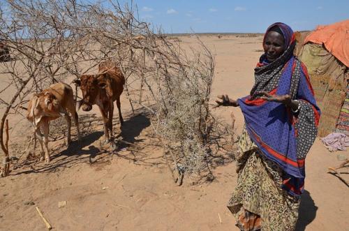 El Niño: Ethiopia faces worst drought in thirty years El Niño: Ethiopia faces worst drought in thirty years