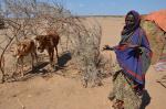 El Niño: Ethiopia faces worst drought in thirty years
