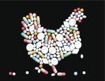 Use of antibiotics in animal food leads to drug resistance in humans