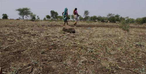 44 per cent of India's districts face rain deficit 44 per cent of India's districts face rain deficit