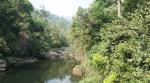 Kerala is marking only protected forests as ecologically sensitive area