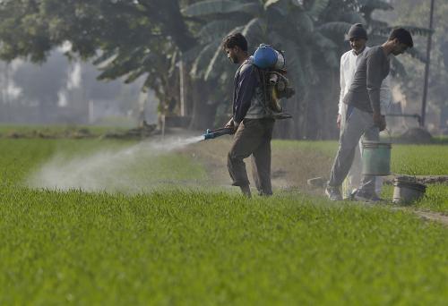 Survey proposes direct benefit transfer in fertiliser subsidy Survey proposes direct benefit transfer in fertiliser subsidy