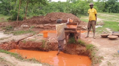 The gold rush The gold rush