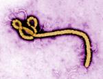 New vaccine protects against Ebola when administered seven days before infection: Study