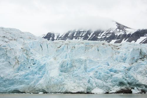 World bodies release new principles on cost-effective carbon pricing schemes World bodies release new principles on cost-effective carbon pricing schemes