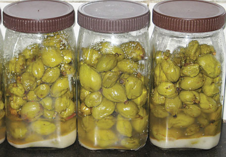 Pickling the tender mangoes enables its use during the monsoon season, when fresh vegetables are hard to come by (Photographs: Chitra Balasubramaniam) image
