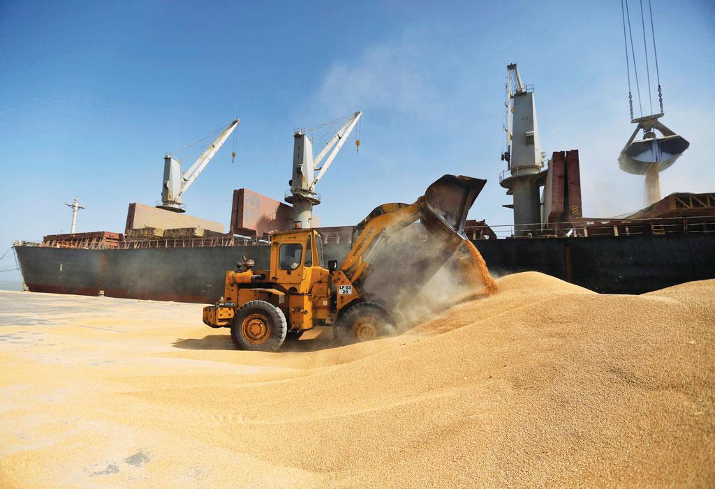 तीन साल पहले भारत ने  65 लाख टन गेहूं     निर्यात  किया था, लेकिन  इस साल देश में 50 लाख टन गेहूं के आयात की नौबत आ गई है (फोटो : रॉयटर्स )