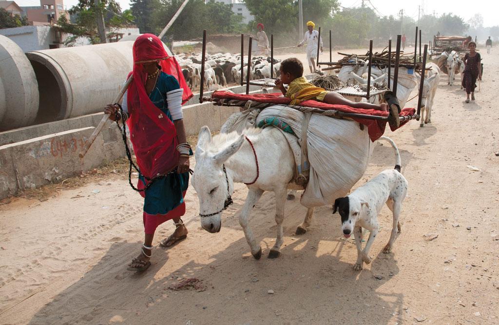 फोटो: अग्निमिर्ह बासु फोटो: अग्निमिर्ह बासु