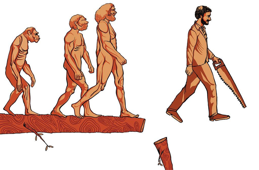 सोरित/सीएसई सोरित/सीएसई