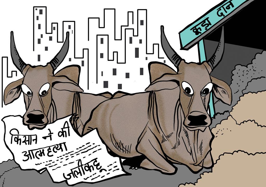 सोरित/सीएसई सोरित/सीएसई