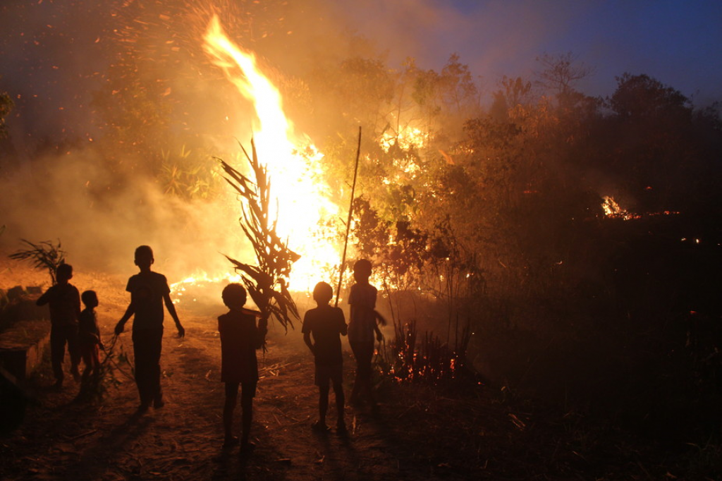 The firefighting children of the Khasi Hills and the decline of