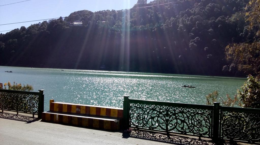 Tree felling within a radius of five km around the lakes of Bhimtal, Nainital, Khurpatal, Sattal and Nauckuchiatal has been banned. Credit: Subhojit/ DTE Tree felling within a radius of five km around the lakes of Bhimtal, Nainital, Khurpatal, Sattal and Nauckuchiatal has been banned. Credit: Subhojit/ DTE