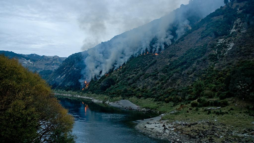 In Era When Hurricanes And Wildfires >> Hurricanes Wildfires Further Endanger These Threatened Species In In Era When Hurricanes And Wildfires >> Hurricanes Wildfires Further Endanger These Threatened Species In