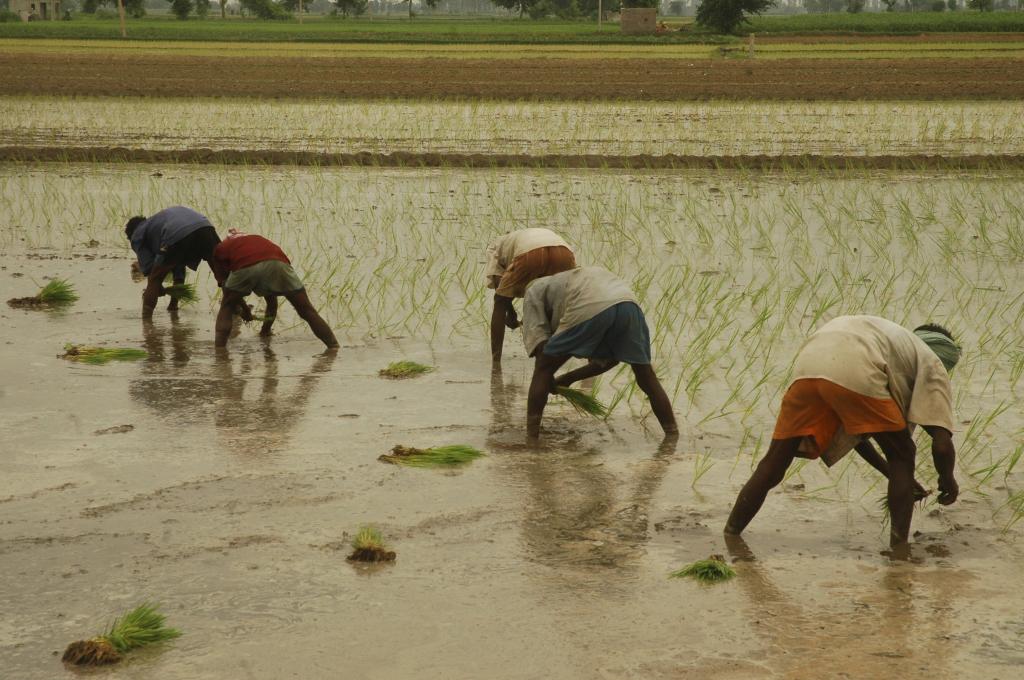 Where does monsoon get over 200 lakh crore buckets of water from?