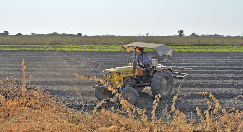 A farmer in Manaba village in arid Morbi district prepares for the summer crop oblivious of the fact that the government has issued an advisory asking farmers not to grow crops with the hope of getting Narmada water