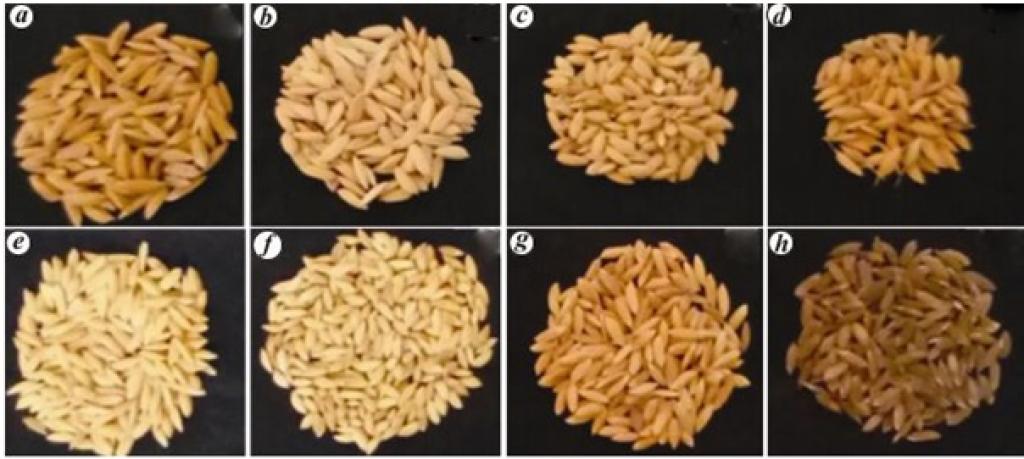 Credit: India Science Wire Credit: India Science Wire