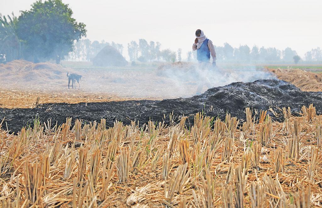 फोटो: विकास चौधरी / सीएसई