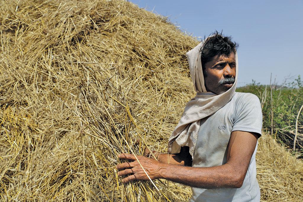 महत्व खोती महत्वाकांक्षी योजना महत्व खोती महत्वाकांक्षी योजना