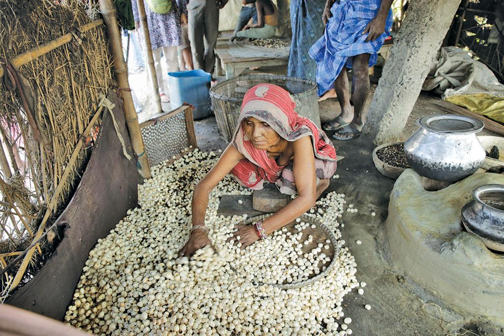 राज्य के दलदली क्षेत्र की मखाना एक अहम उपज है। मखाना मिथिलांचल, कोसी और सीमांचल के आठ जिलों में उगाया जाता है। राज्य के कुल मखाना उत्पादन का 90 फीसदी यह क्षेत्र उपजाता है