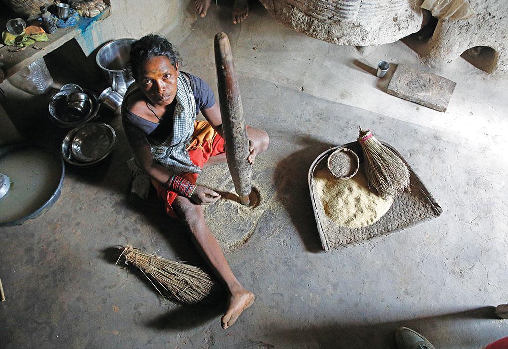 सिकिया अनाज सिकिया अनाज