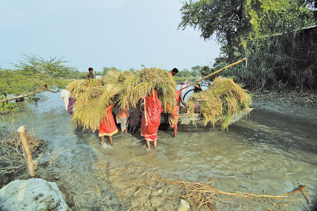 गंगा के तटीय क्षेत्रों में परिवहन के साधन के तौर पर नावों का इस्तेमाल किया जाता है, जो ग्रामीण अर्थव्यवस्था का एक महत्वपूर्ण हिस्सा है