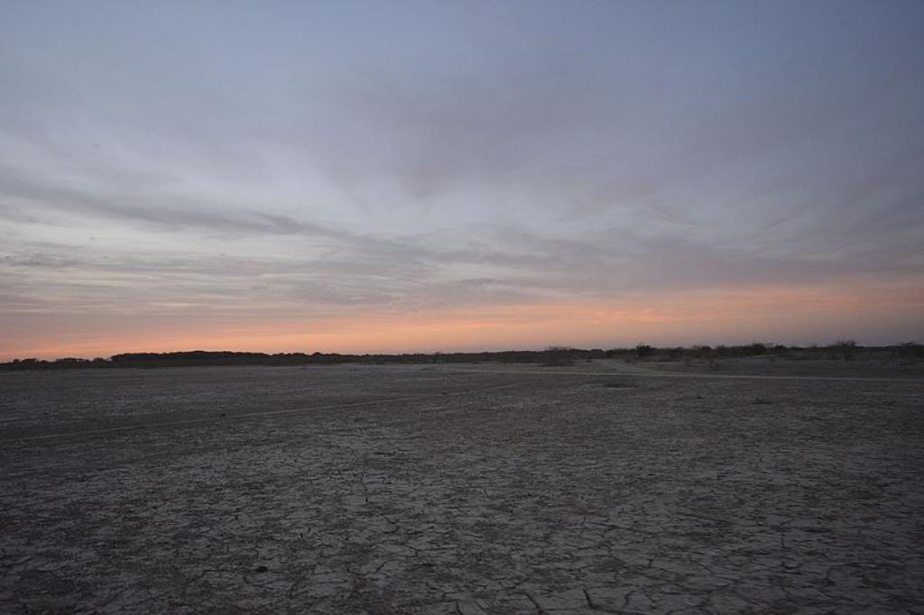 The sun sets over the Banni Grasslands in Kutch      Credit: Wikimedia Commons