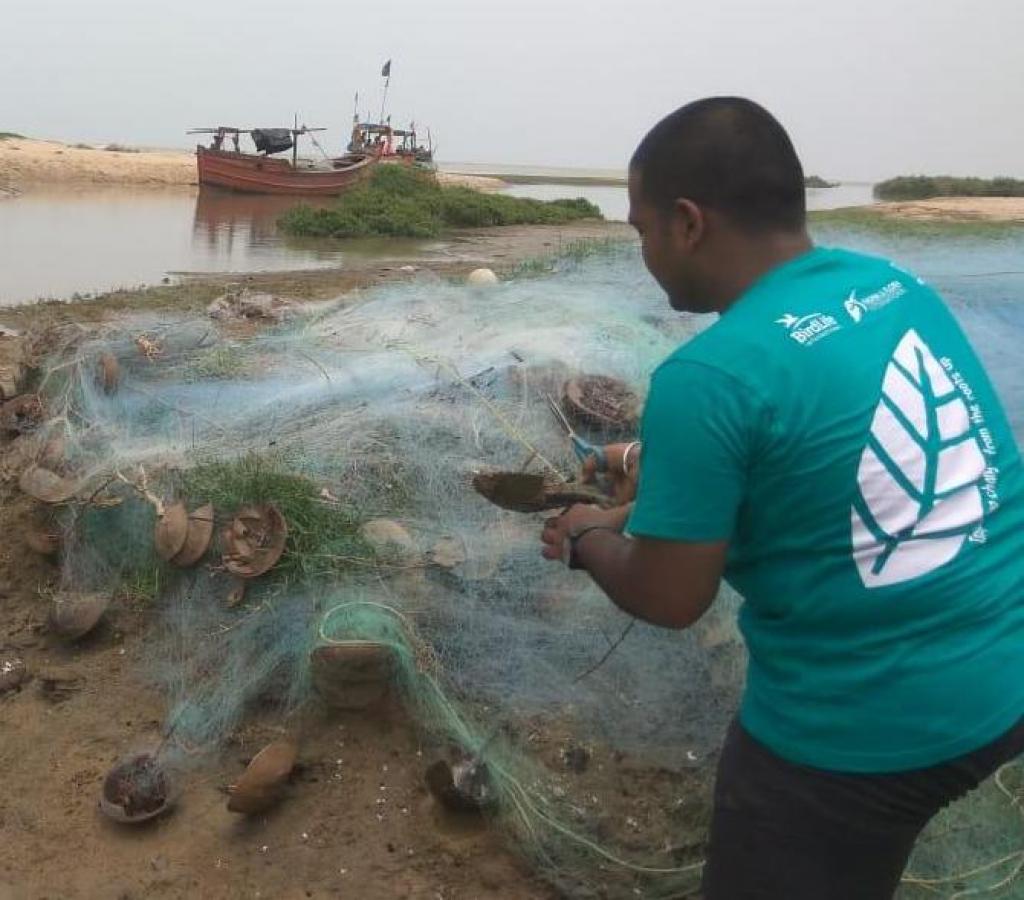 Activists save horseshoe crabs stuck in a fishing net. Credit: Ashis Senapati