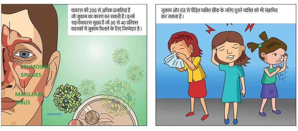 वायरस की 200 से अधिक प्रजातियां हैं जो जुकाम का कारण बन सकती हैं। इनमें राइनोवायरस मुख्य है जो 30 से 40 प्रतिशत वयस्कों में जुकाम फैलाने के लिए जिम्मेदार है। 