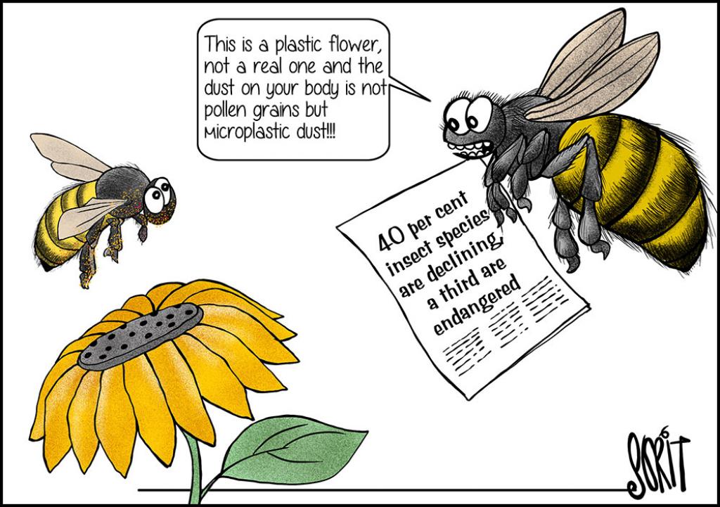 home insects in india
