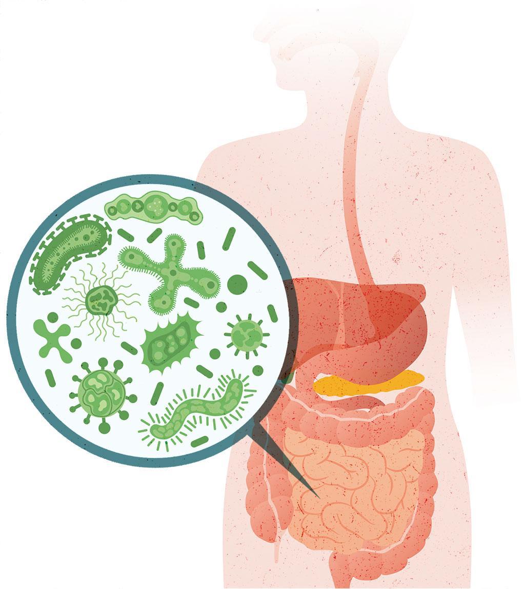 तारिक अजीज / सीएसई 