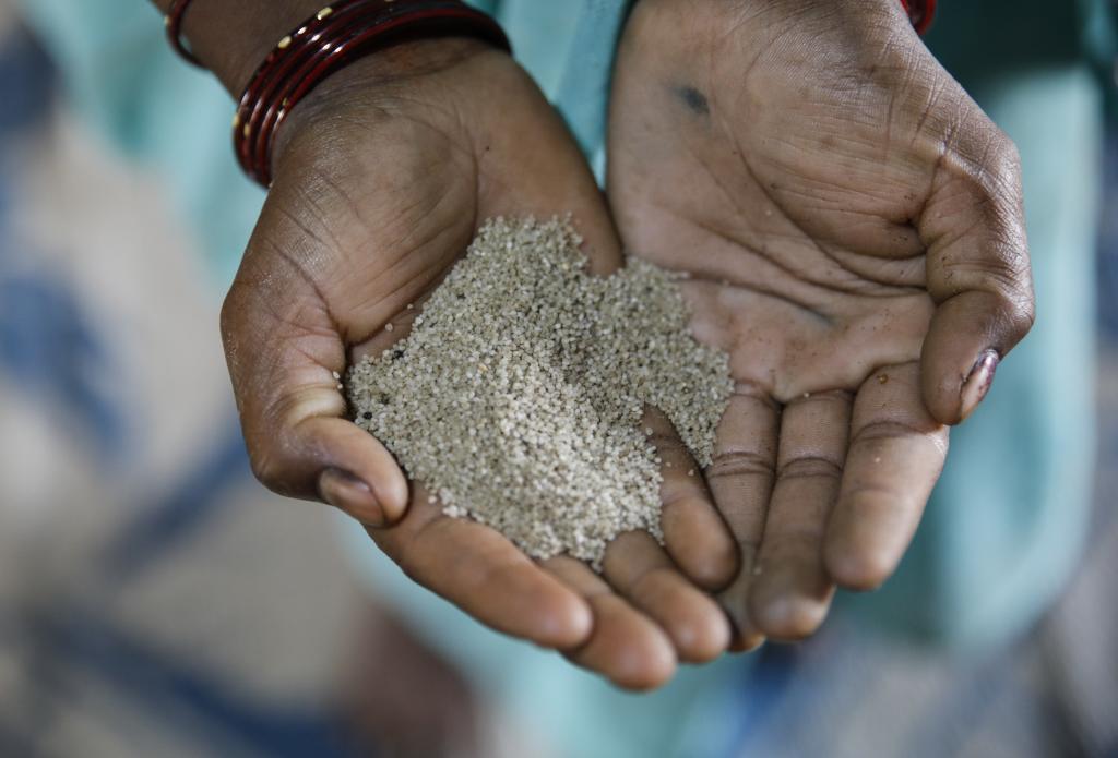 Here is how millets can make India’s food basket climateresilient