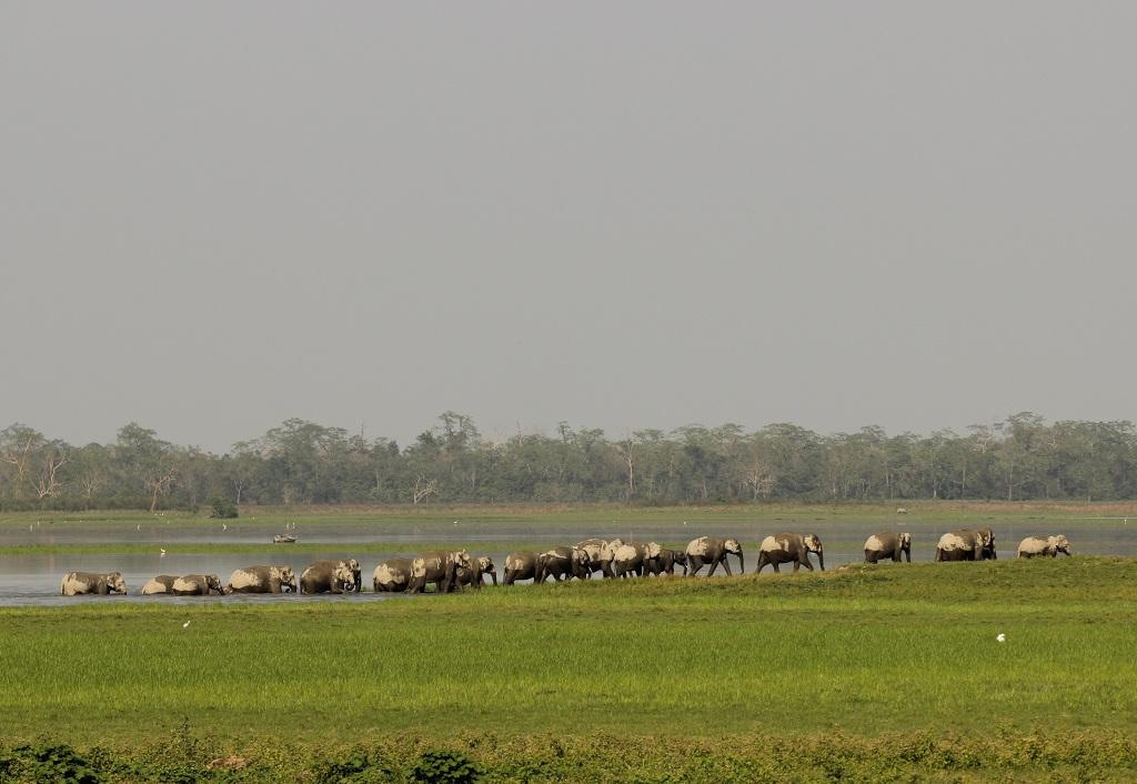 Photo Credit : Kumar Sambhav Shrivastava Photo Credit : Kumar Sambhav Shrivastava