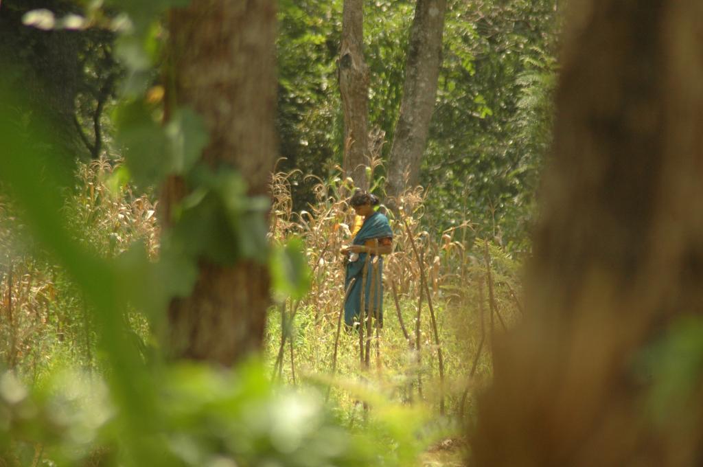 Photo : Agnimirh Basu Photo : Agnimirh Basu
