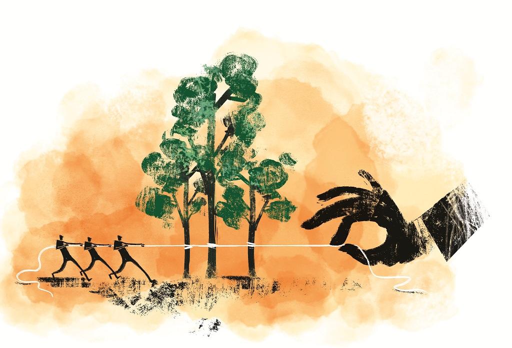 Illustration : Tarique Aziz Illustration : Tarique Aziz