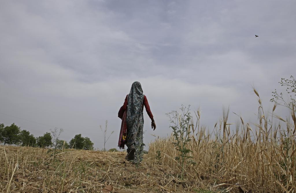 Photo: Vikas Choudhary Photo: Vikas Choudhary
