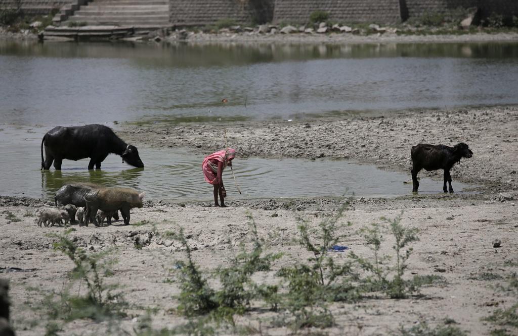 Photo: Vikas Choudhary Photo: Vikas Choudhary