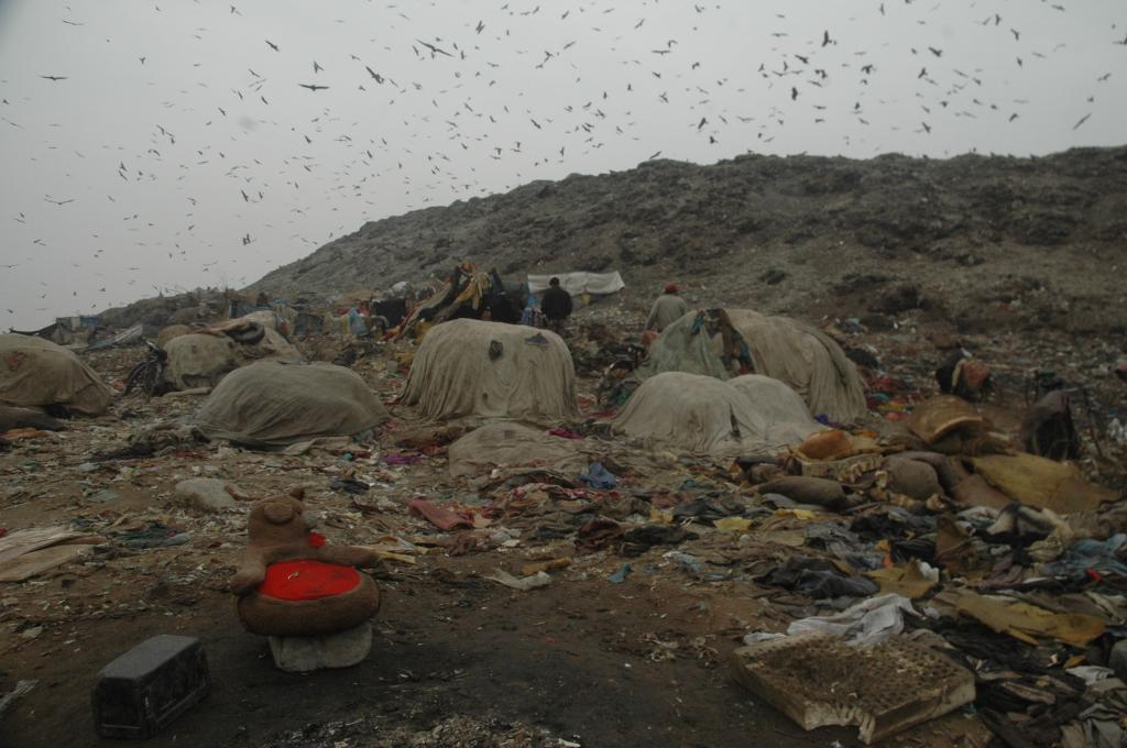 Photo: Agnimirh Basu Photo: Agnimirh Basu
