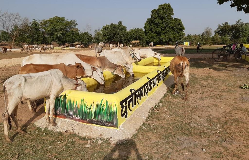 छत्तीसगढ़ के धमतरी जिले के लोहरसी गाँव में बनी गोठान। फोटो: पुरुषोत्तम सिंह ठाकुर छत्तीसगढ़ के धमतरी जिले के लोहरसी गाँव में बनी गोठान। फोटो: पुरुषोत्तम सिंह ठाकुर