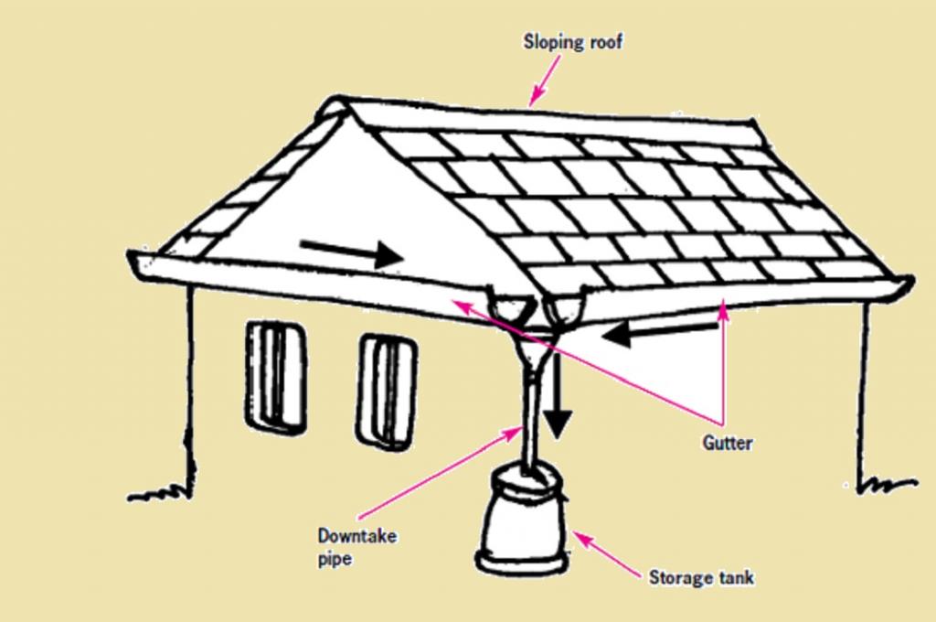 rainwater/Catch water where it falls Urban rainwater harvesting